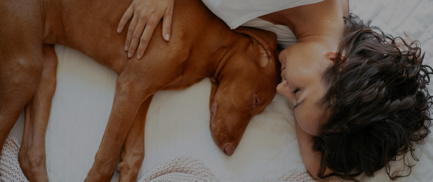 Telepathische Tierkommunikation zwischen Mensch und Tier - tierkommunikation-seelenfreunde.de