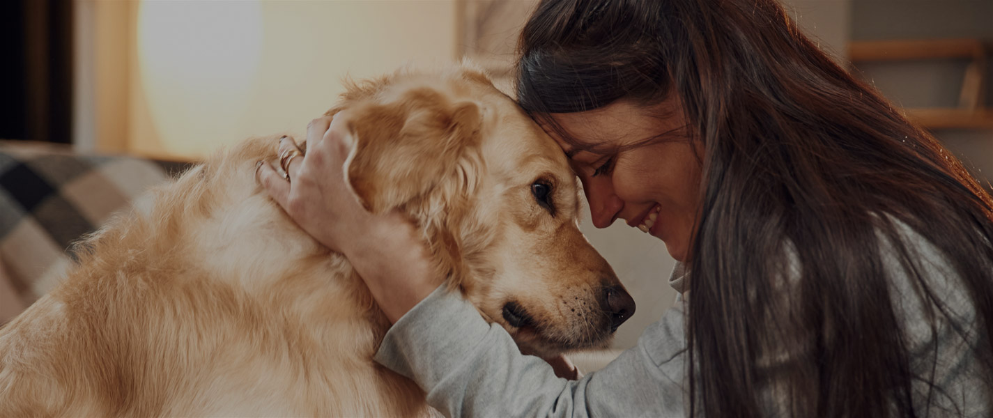 Telepathische Tierkommunikation zwischen Mensch und Tier - tierkommunikation-seelenfreunde.de