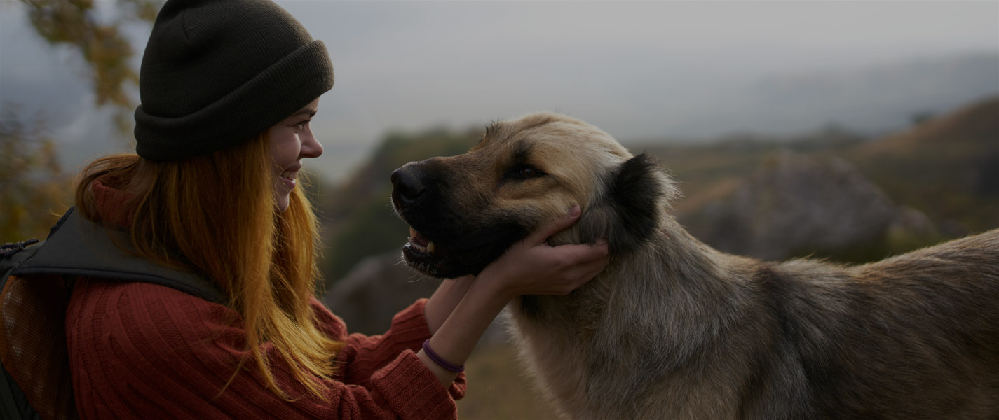 Telepathische Tierkommunikation zwischen Mensch und Tier - tierkommunikation-seelenfreunde.de